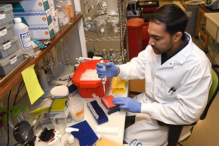Faculty member conducting experiments